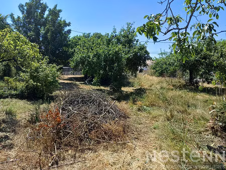 belle parcelle constructible à sémussac de 738 m²  non viabilisée.