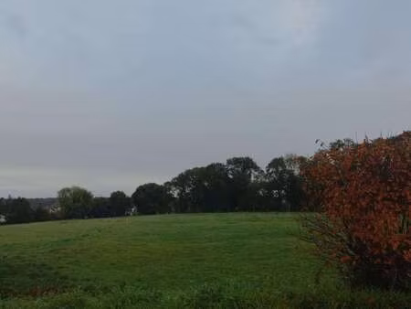 vente terrain à plouay (56240) : à vendre / 321m² plouay