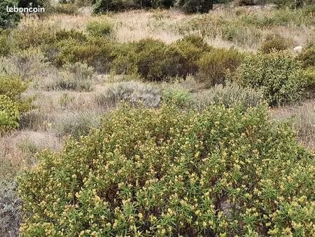 terrain 1 223 m² theza