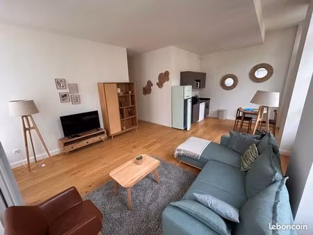 magnifique appartement grand t2 meublé hypercentre st etienne