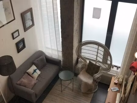 appartement 32 m2 lyon 1 jardin des plantes