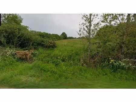 vente terrain à sallertaine (85300) : à vendre / 429m² sallertaine