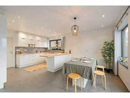 appartement rez-de-chaussée avec jardin à dendermonde