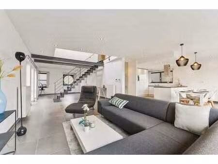 duplex spacieux avec grande terrasse ensoleillée