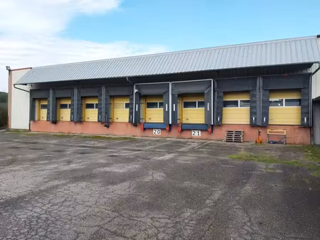 à vendre – bâtiment logistique de 12 903 m² à mattaincourt – vosges (88)