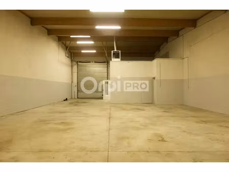 local d'activité a louer