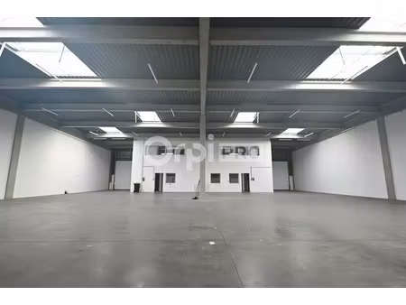 local d'activite a louer