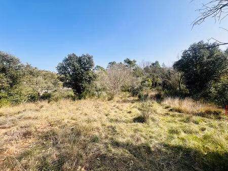 terrain de 4959 m2 à saint andré de roquepertuis