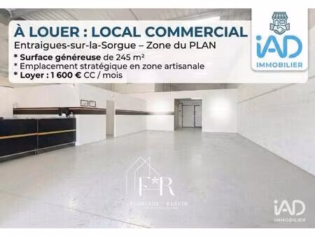 location local d'activités 245 m²
