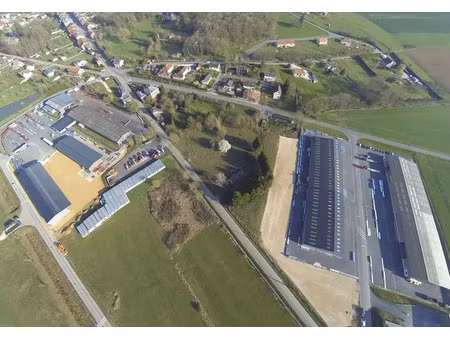 à vendre - terrain de 8 115 m² dans la za les arches - buzancy (08)