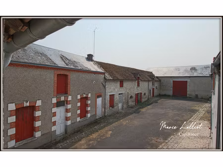 corps de ferme à vendre 9 pièces la neuville sur essonne (45)  grange  terrain clos