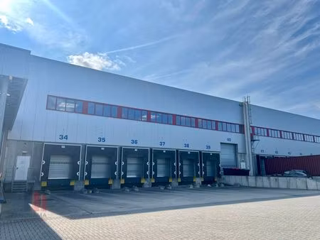 commercieel te huur in genk