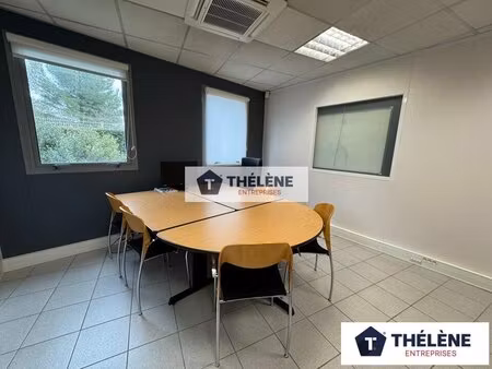 location local professionnel 75m² castelnau le lez 34170