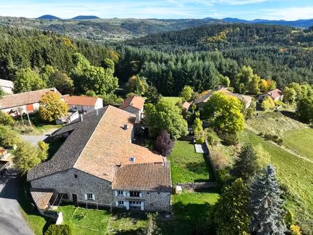 achat maison 10 pièces 350m² vielprat 43490