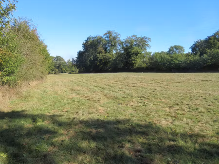 achat terrain 5 284m² blanzac 87300