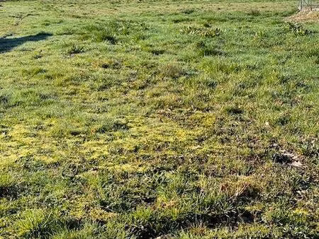 achat terrain 3 159m² lunas 24130