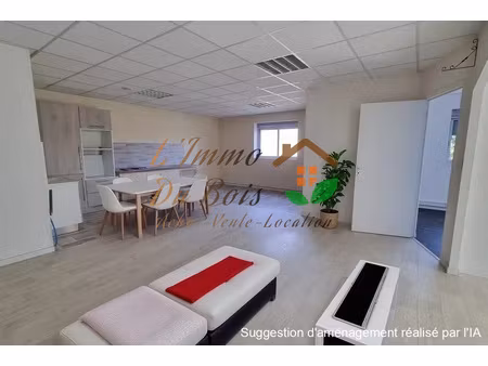 location local professionnel 100m² chanas 38150