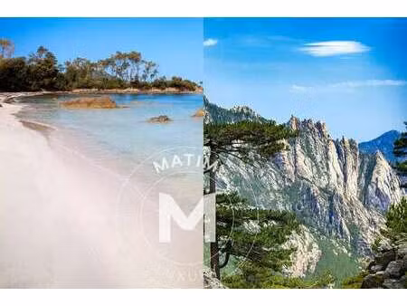 maison de luxe à vendre à porto-vecchio : 1 180 000 € | 232m²