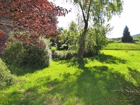 vente maison de village 8 pièces 200 m2 à luvigny