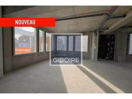 achat local professionnel 235m² chantepie 35135