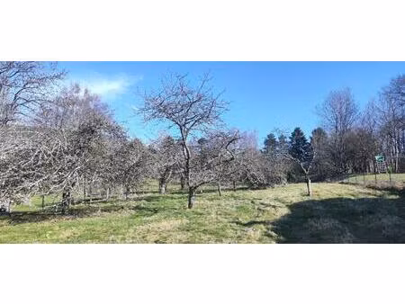 achat terrain 2 720m² rougemont le chateau 90110