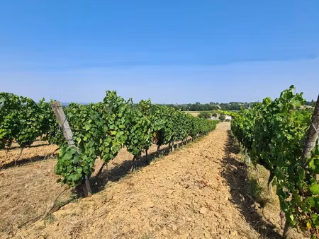 terrain agricole à saussignac (24240)