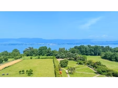 achat : maison (74140)