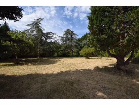 vente terrain 1008 m² saint-augustin (17570)