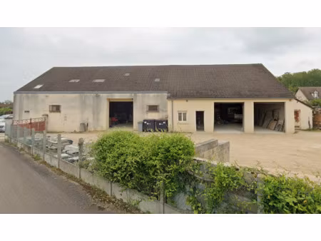 achat local professionnel 300m² moneteau 89470