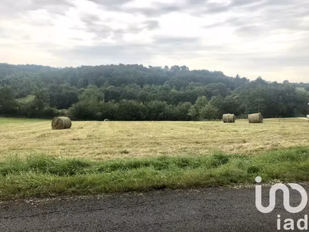 terrain à saint julien de crempse (24140)
