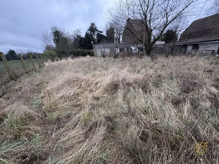 achat maison 4 pièces 80m² wasquehal 59290