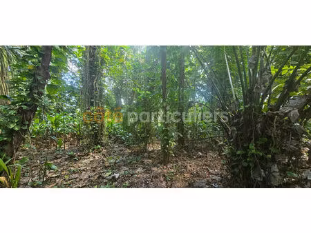 achat terrain 3 166m²