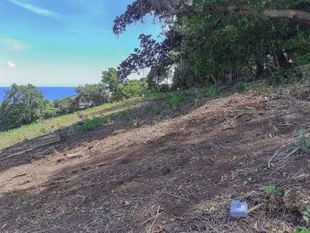 achat terrain 7 465m² ste marie 97230