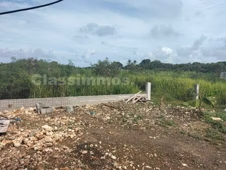 achat terrain 1 306m² le moule 97160