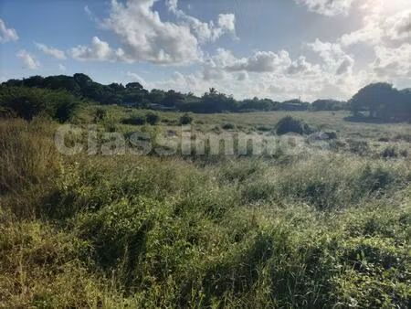 achat terrain 700m² petit canal 97131