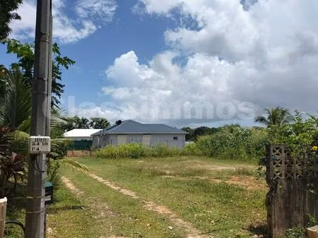 achat terrain 700m² baie mahault 97122