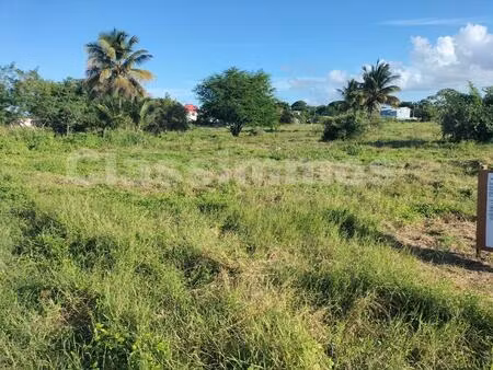 achat terrain 800m² petit canal 97131