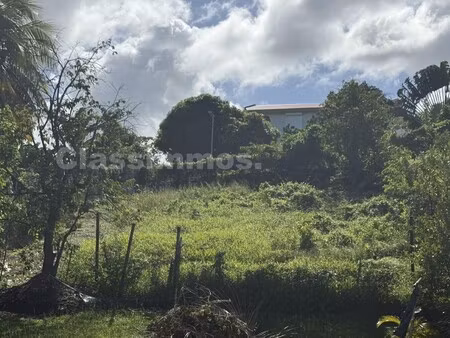 achat terrain 960m² le robert 97231