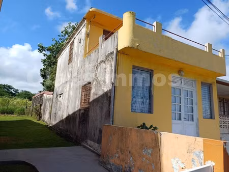 achat maison 3 pièces 66m² basse pointe 97218