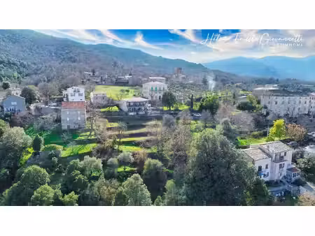vente terrain 1984 m² rapale (20246)