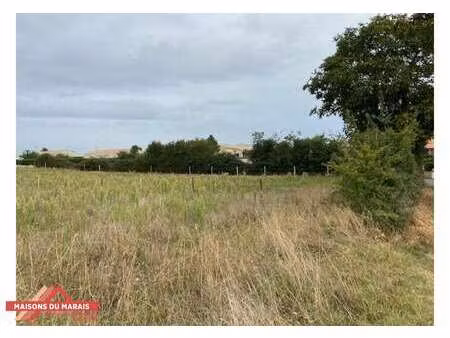 vente terrain à villiers-en-plaine (79160) : à vendre / villiers-en-plaine