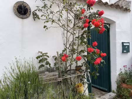 vente maison 6 pièces 99 m² à ars-en-ré (17590)  315 000 €