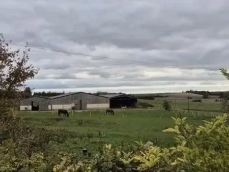 vente ferme 2112 m² à rethel (08300)  335 000 €