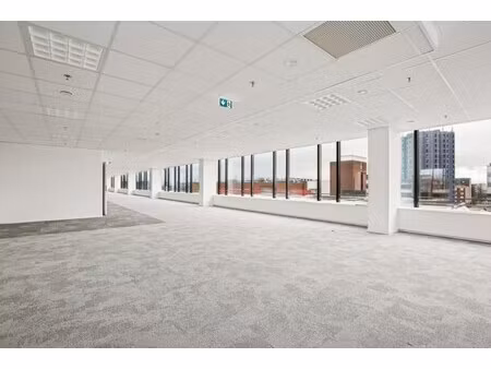 location local professionnel 2 048m²