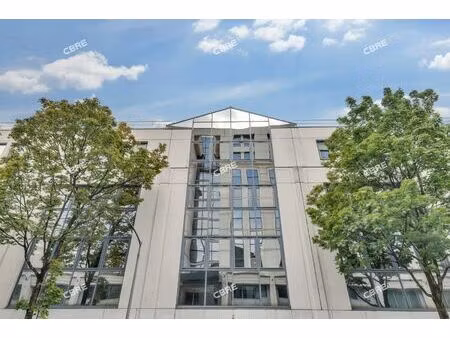 location local professionnel 380m²