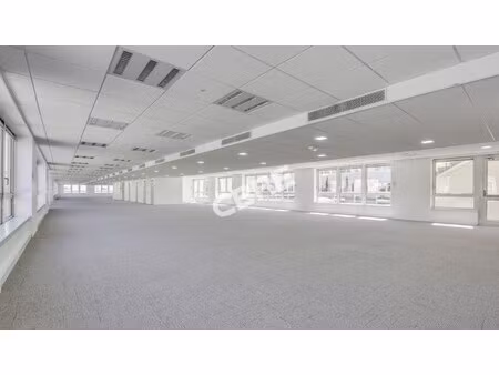 location local professionnel 1 317m²