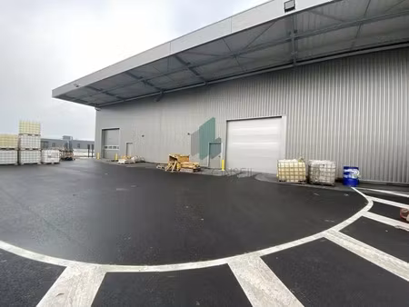 local d'activite a louer