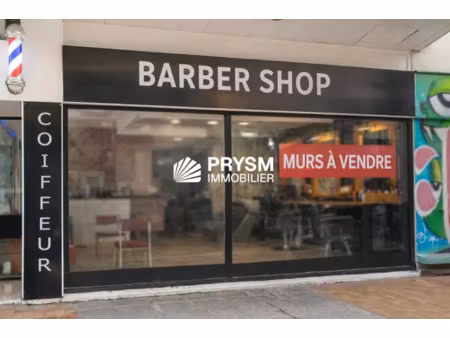 immobilier professionnel à vendre rennes