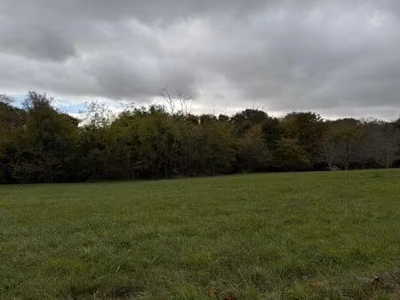 vente terrain 1450 m² saint-exupéry (33190)