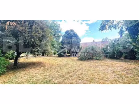 we invest sylvia leclancher